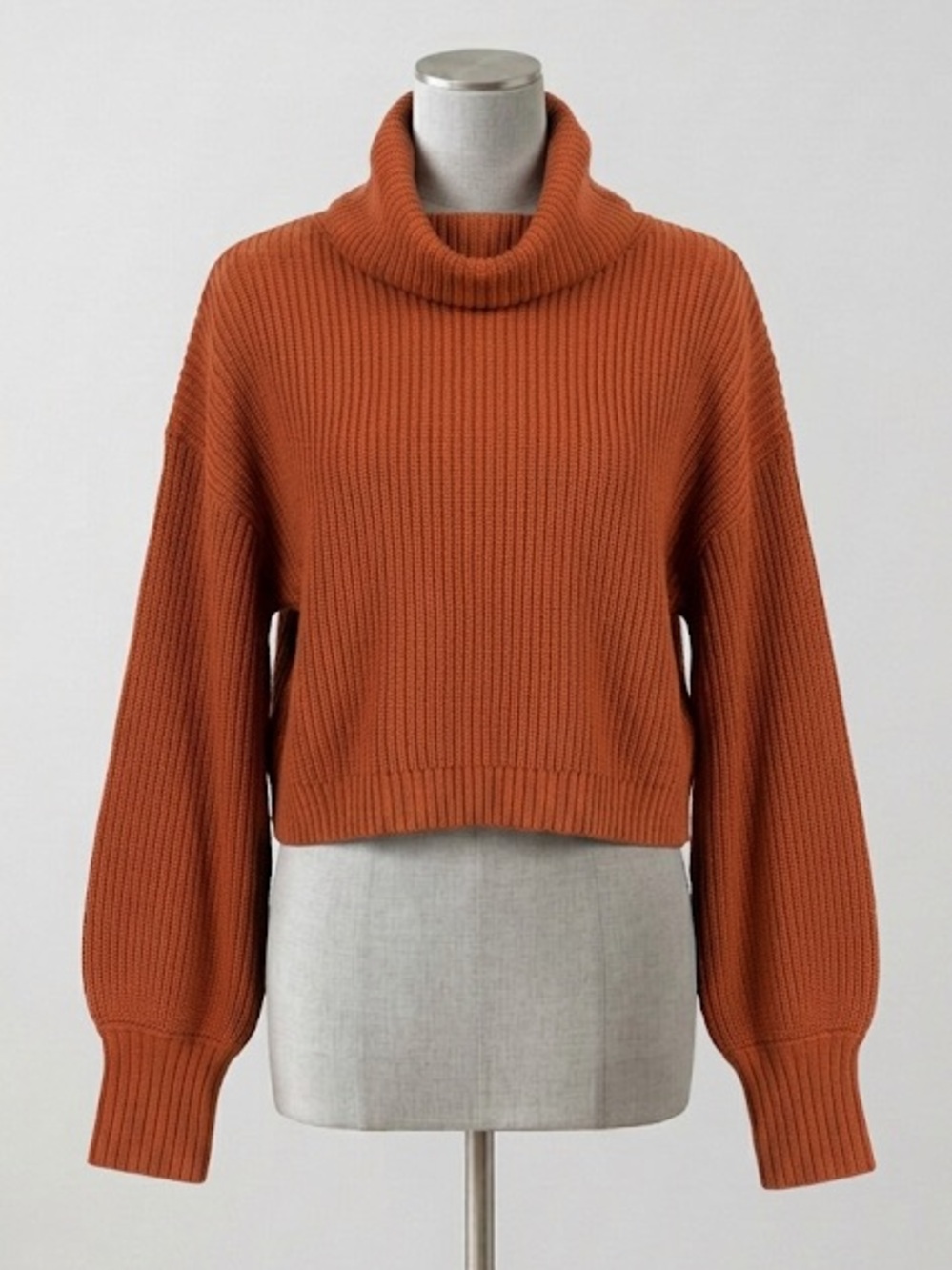 wild fable Cropped Rust Turtleneck Sweater